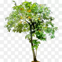 枝人造花植物叶植物茎-空若网 枝人造花植物叶植物茎-空若网