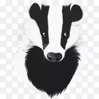 胡须、鼻子、毛皮.獾花纹-空若网 胡须、鼻子、毛皮.獾花纹-空若网