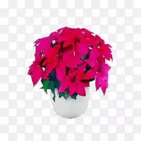 ����Ҷ�л��ۺ�ɫm����ֲ��-������