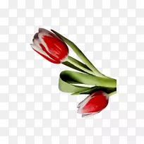 ������;߲�Ʒ���-������