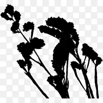 ����ֲ���Ӱ����ֲ��-������