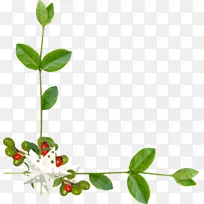 图像中心博客图片框回形针艺术.笔画装饰-空若网 图像中心博客图片框回形针艺术.笔画装饰-空若网