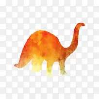 生物动物-空若网 生物动物-空若网