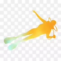 食肉动物手指昆虫桌面壁纸传粉者-空若网 食肉动物手指昆虫桌面壁纸传粉者-空若网