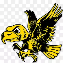 ���ɻ���ӥ�����򰮺ɻ���ӥ��������������ӥ�����Ե���½��-�͹�����-������