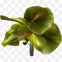 ×ÀÃæ±ÚÖ½Ê÷¼ÐÒÕÊõ-ÉñÃØ-¿ÕÈôÍø ×ÀÃæ±ÚÖ½Ê÷¼ÐÒÕÊõ-ÉñÃØ-¿ÕÈôÍø