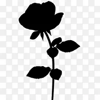 剪裁艺术剪叶植物茎开花植物-空若网 剪裁艺术剪叶植物茎开花植物-空若网