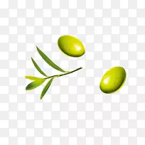 橄榄叶橄榄果实-空若网 橄榄叶橄榄果实-空若网