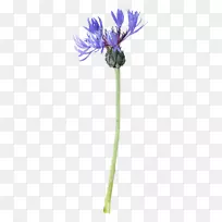 水彩画图像中心-绘画-空若网 水彩画图像中心-绘画-空若网