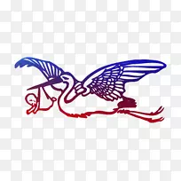 蝴蝶爸爸妈妈插图昆虫-空若网 蝴蝶爸爸妈妈插图昆虫-空若网