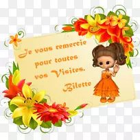 �ؿ�ף��������-����-������