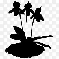 剪裁艺术剪叶植物茎开花植物-空若网 剪裁艺术剪叶植物茎开花植物-空若网