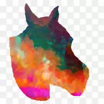 染料橙S.A.-空若网 染料橙S.A.-空若网