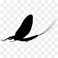 昆虫剪贴画传粉师剪影害虫-空若网 昆虫剪贴画传粉师剪影害虫-空若网