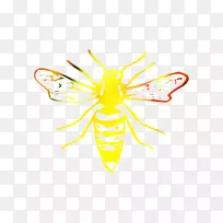 �������۷�ͼ�β�ͼͼ��-������