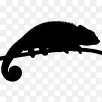 剪贴画鼻子动物轮廓-空若网 剪贴画鼻子动物轮廓-空若网