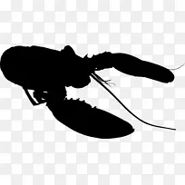 À¥³æ¼ôÌù»¼ôÓ°Ïß³æ-¿ÕÈôÍø À¥³æ¼ôÌù»¼ôÓ°Ïß³æ-¿ÕÈôÍø