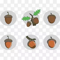 种子坚果,橡子叶,种子坚果-空若网 种子坚果,橡子叶,种子坚果-空若网