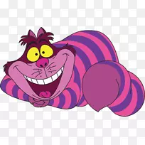 ����˿���ɾ���ð�գ���è�����һʺ󣬷���ñ��-����˿���ɾ���-������