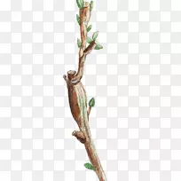 Ë®²Ê»Ò¶»ÐÎÏ󻿻ÒÕÊõË®²Ê»-¿ÕÈôÍø Ë®²Ê»Ò¶»ÐÎÏ󻿻ÒÕÊõË®²Ê»-¿ÕÈôÍø