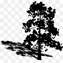 ��������Ҷ����ֲ��-������