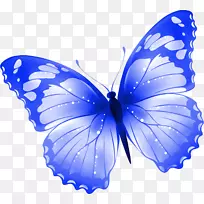 ������ֽ�������ɫ������-����-������