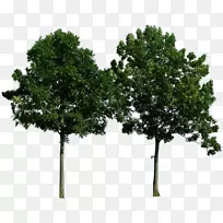 ������������-��-������