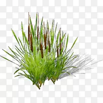 ��ݣ�����ݣ���ݣ�ˮ��ݣ�����-������