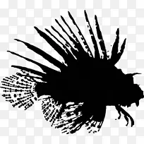 叶型侧影树开花植物-空若网 叶型侧影树开花植物-空若网