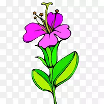 花卉设计切花植物茎开花植物-空若网 花卉设计切花植物茎开花植物-空若网