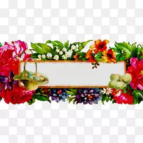 ��������л�����Ҷ-������