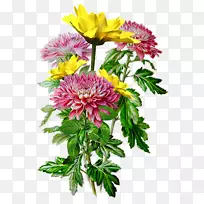 水彩画花卉设计图解-空若网 水彩画花卉设计图解-空若网