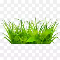 ������¶�첿��ͼ��pngͼƬ��ͼ-������