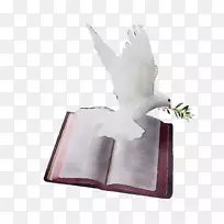 纸紫色羽毛-空若网 纸紫色羽毛-空若网