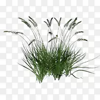 手持式网络图形剪辑艺术图片花鸟水生植物.-空若网 手持式网络图形剪辑艺术图片花鸟水生植物.-空若网