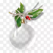 剪贴画图片png图片圣诞日博客-冬青背景-空若网 剪贴画图片png图片圣诞日博客-冬青背景-空若网