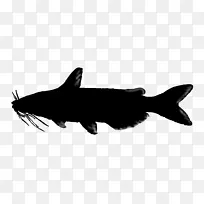鲨鱼海洋鼻子轮廓-空若网 鲨鱼海洋鼻子轮廓-空若网