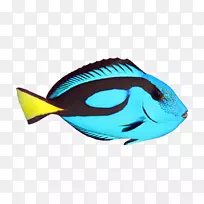 png图片图像三维空间插图剪贴画-空若网 png图片图像三维空间插图剪贴画-空若网