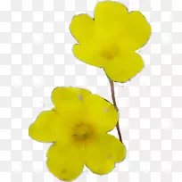 黄-空若网 黄-空若网