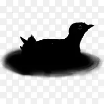 ���룬è�����죬���-������