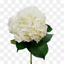 �����л����ͻ���-������