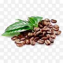 ������Ũ���Ȳ�����-������