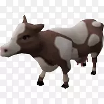 ��˹̹����������ţ������ţ����������ţ��������ţ��Сţ-������