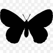 ë���׵ĺ�����ģ�߻��۳�Ŀ�ɶ�-������