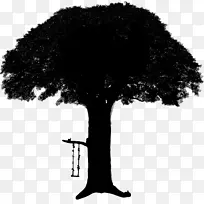 树的轮廓-空若网 树的轮廓-空若网