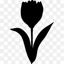 ������Ҷֲ�ﾥ����ֲ��-������