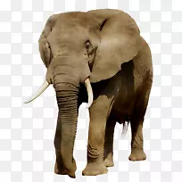 ӡ�����������½�ض���-������