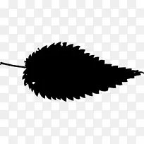 达拉斯休斯敦-菲茨杰拉德的奥斯汀丹佛-菲尔莫-空若网 达拉斯休斯敦-菲茨杰拉德的奥斯汀丹佛-菲尔莫-空若网