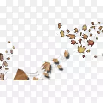 莱斯利?克拉尔戈蜂蜜蜜蜂昆虫插图-昆虫-空若网 莱斯利?克拉尔戈蜂蜜蜜蜂昆虫插图-昆虫-空若网