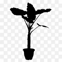 植物开花植物茎剪贴画-空若网 植物开花植物茎剪贴画-空若网